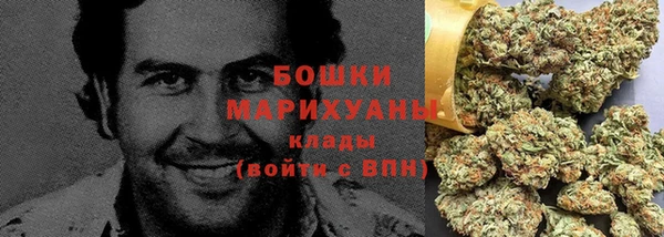 гидра Арсеньев