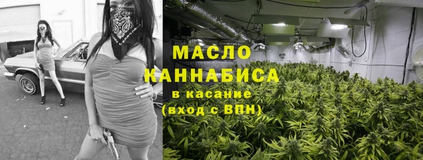 гидра Арсеньев