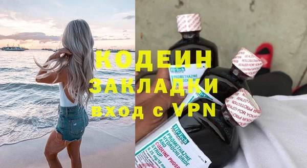 гидра Арсеньев