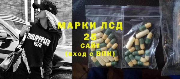 гидра Арсеньев
