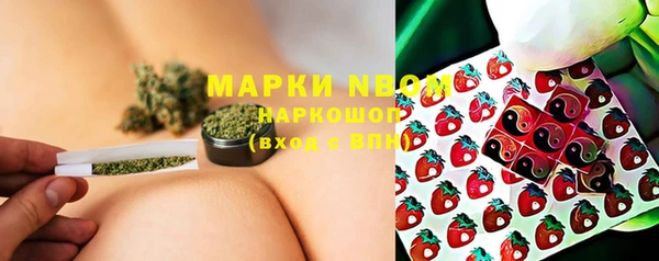 гидра Арсеньев