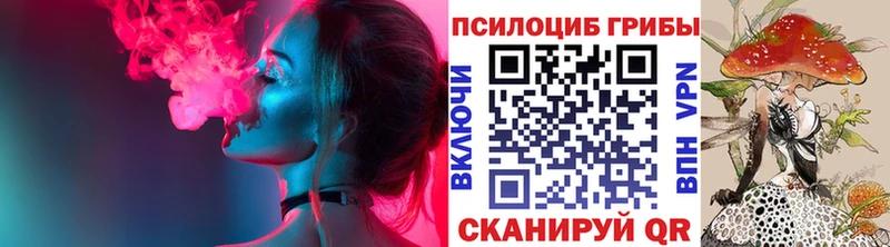 Галлюциногенные грибы Psilocybine cubensis  Талдом 
